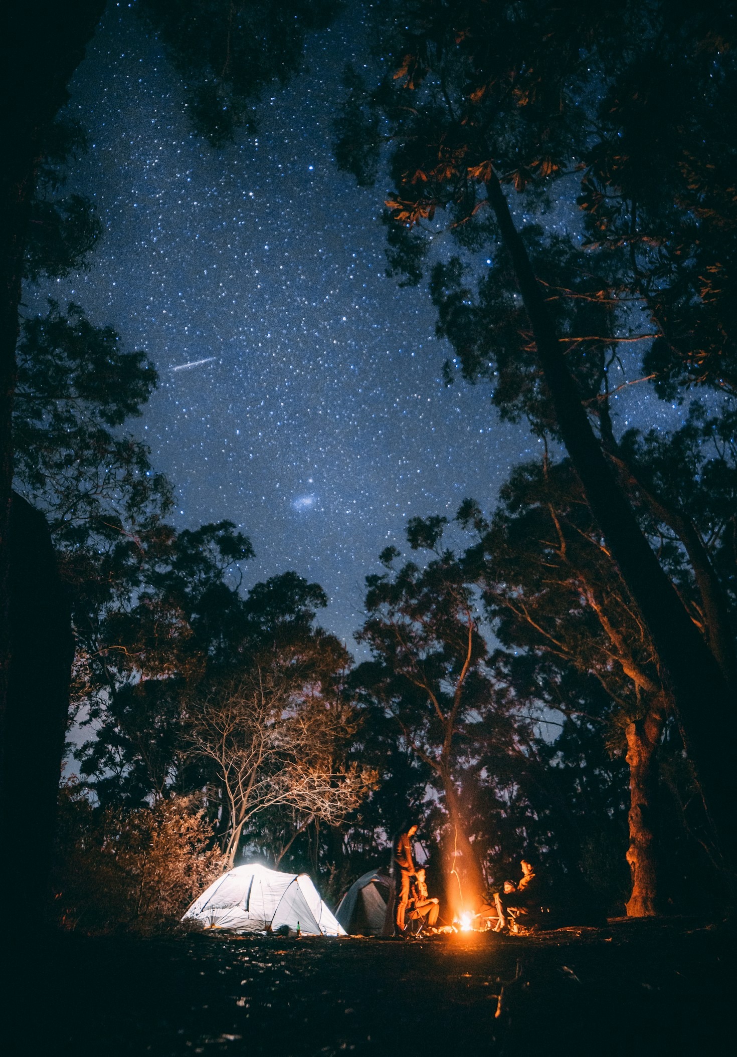 Read more about the article Top 10 Must-Have Camping Gear for Beginners